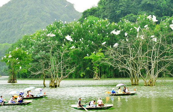 Khách du lịch ngồi thuyền thăm Vườn Chim Thung Nham với sự thích thú